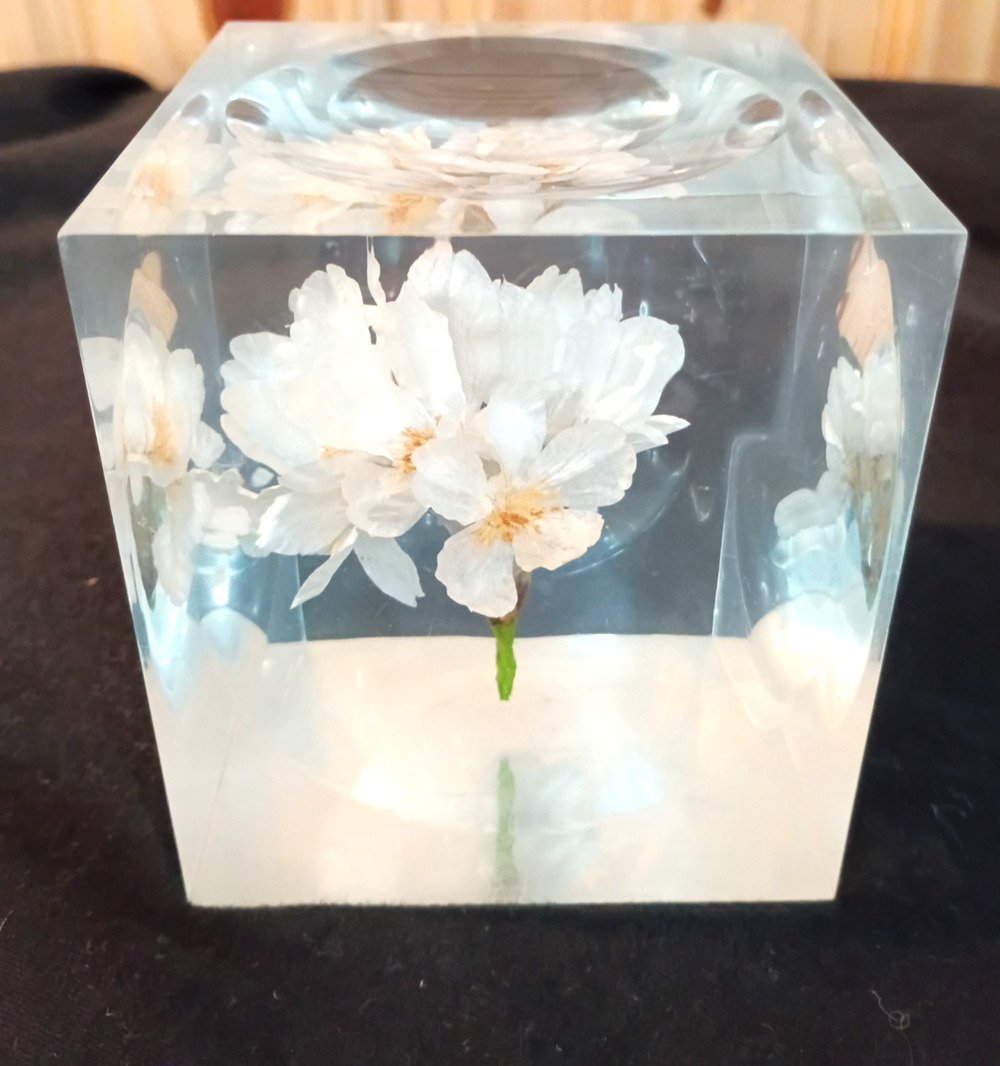 VTG Lucite Sola Cube White Silk Flower Resin Large Cube 3 3/8" Paperweight RARE